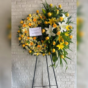 CORONA PICARON PREMIUM PHANY