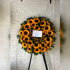 CORONA PICARONA PREMIUM GIRASOL