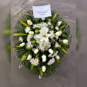 LAGRIMA FUNEBRE