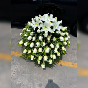 MANTO FUNEBRE PAZ
