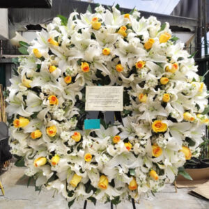 PICARON FUNEBRE PAZ PREMIUM